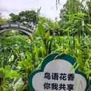 龙港城市公园 - 温州旅游 缩略图 5