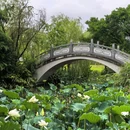 龙港城市公园 - 温州旅游 缩略图 8