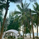 海陵岛国家海洋公园 - 阳江市旅游 缩略图 3