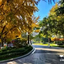 儿童公园 - 大连市旅游 缩略图 9