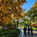 儿童公园 - 大连市旅游 缩略图 6