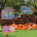 杰嘉花乐园 - 北京市旅游 缩略图 6