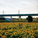 东涌镇官坦农业公园 - 广州市旅游 缩略图 7