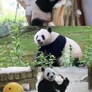 紫清湖野生动物世界 - 南京市旅游 缩略图 3