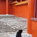 桃川万寿宫 - 常德旅游 缩略图 6