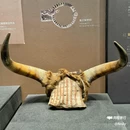 新疆维吾尔自治区博物馆 - 乌鲁木齐旅游 缩略图 9