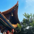罗什寺 - 武威旅游 缩略图 4
