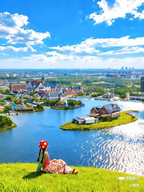 荷兰花海 - 盐城市旅游