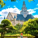 荷兰花海 - 盐城市旅游 缩略图 2