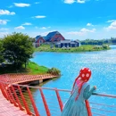 荷兰花海 - 盐城市旅游 缩略图 8