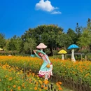 荷兰花海 - 盐城市旅游 缩略图 6