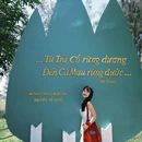 芒街 - 越南旅游 缩略图 4