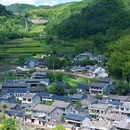 奉化区大堰镇石井村经济合作社 - 宁波市旅游 缩略图 7