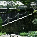 奉化区大堰镇石井村经济合作社 - 宁波市旅游 缩略图 9