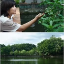 东莞可园-古建筑区 - 东莞市旅游 缩略图 1