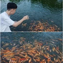 东莞可园-古建筑区 - 东莞市旅游 缩略图 9