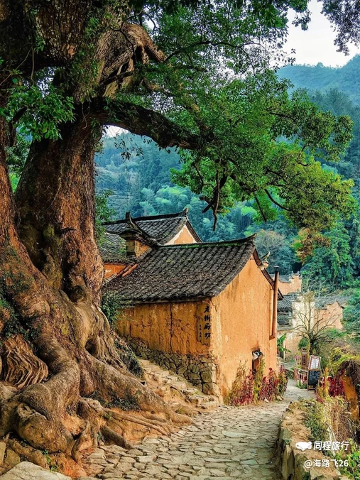丽水站 - 丽水市旅游