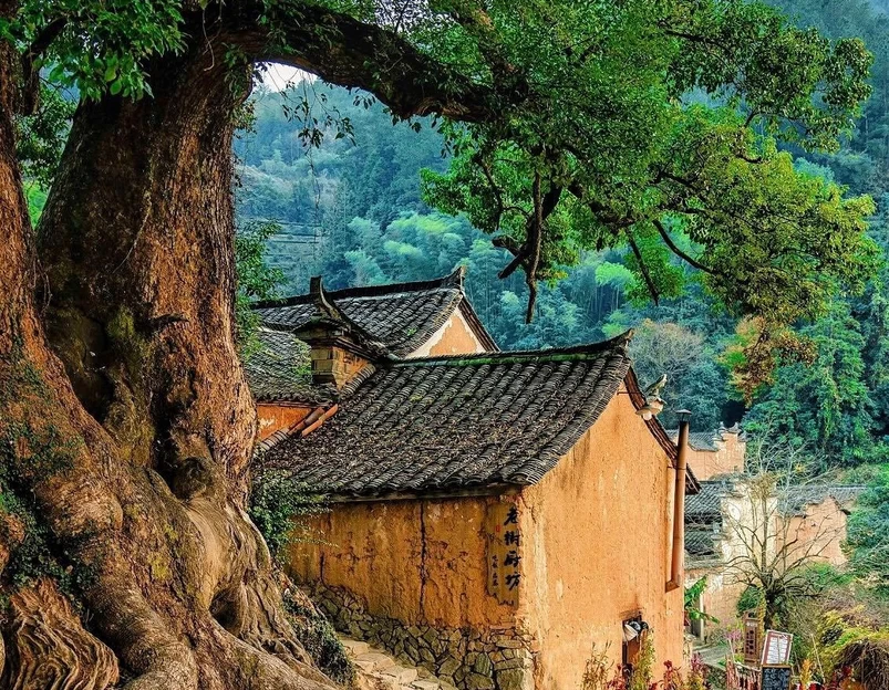 丽水站 - 丽水市旅游 1