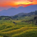 云和梯田景区 - 丽水市旅游 缩略图 5