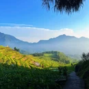 云和梯田景区 - 丽水市旅游 缩略图 8