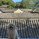 婺城区逸境·宋酒店(古子城步行街店) - 金华市旅游 缩略图 6