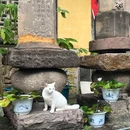 婺城区逸境·宋酒店(古子城步行街店) - 金华市旅游 缩略图 8