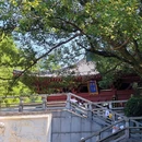 仙都国家级风景名胜区 - 丽水市旅游 缩略图 4