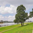 龙舟广场 - 佛山市旅游 缩略图 2