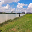 龙舟广场 - 佛山市旅游 缩略图 4