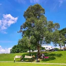 龙舟广场 - 佛山市旅游 缩略图 1