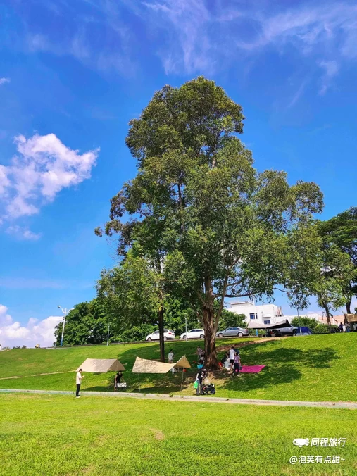 龙舟广场 - 佛山市旅游