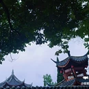 龙兴寺 - 成都市旅游 缩略图 2