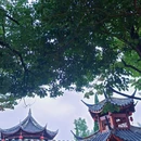 龙兴寺 - 成都市旅游 缩略图 6