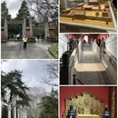 南京夫子庙 - 南京市旅游 缩略图 9