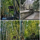 南京夫子庙 - 南京市旅游 缩略图 2