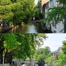 苏州博物馆 - 苏州市旅游 缩略图 7