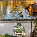 苏州博物馆 - 苏州市旅游 缩略图 8