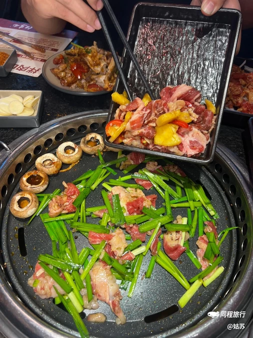 屯李任·齐齐哈尔烤右烤肉(量子介店) - 成都市旅游