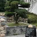 MOVE MOUNTAIN移石咖啡 - 常州市旅游 缩略图 9