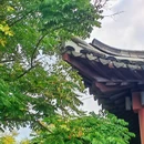 南京明城墙 - 南京市旅游 缩略图 9