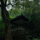 云栖竹径 - 杭州市旅游 缩略图 4