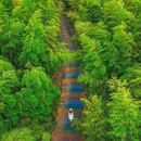 茅山森林世界 - 常州市旅游 缩略图 8