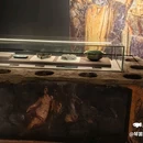 湖南博物院 - 长沙市旅游 缩略图 4