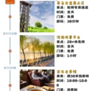 大理州旅游 缩略图 2