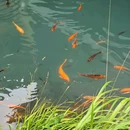 进仙禅寺 - 温州旅游 缩略图 1