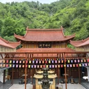 进仙禅寺 - 温州旅游 缩略图 7