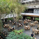 皇城老妈火锅(皇城店) - 成都旅游 缩略图 7