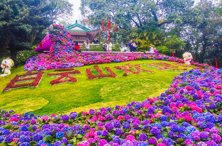 2天1晚·夜游广州塔、白云山,陈家祠休闲品质纯玩2天游