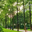 珠江公园 - 广州市旅游 缩略图 9