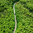 窑湖小镇 - 无锡市旅游 缩略图 7